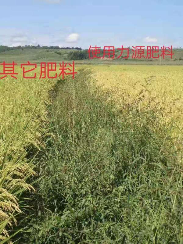 &#22823;&#36130;&#31070;&#97;&#112;&#112;&#40;&#20013;&#22269;&#41;&#20225;&#19994;&#30334;&#31185;